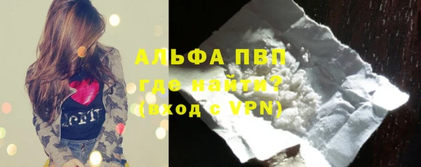 индика Арсеньев
