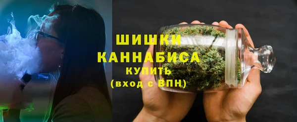 ПСИЛОЦИБИНОВЫЕ ГРИБЫ Аркадак
