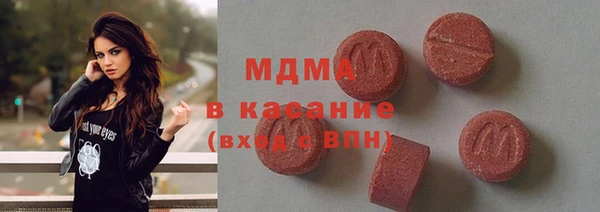 индика Арсеньев