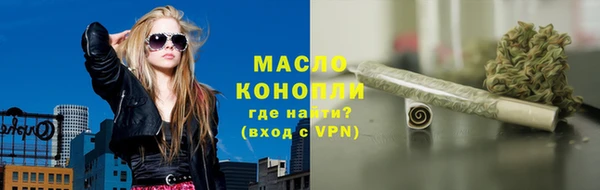 индика Арсеньев