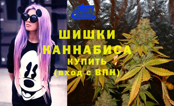 спайс Осташков