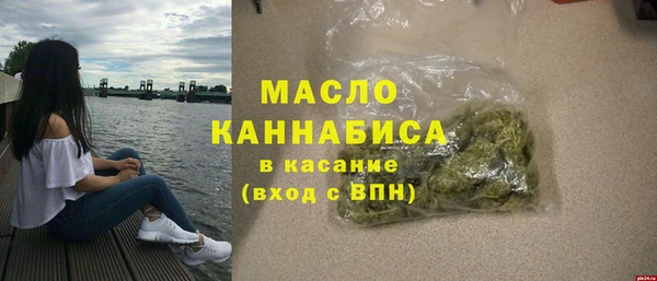 индика Арсеньев