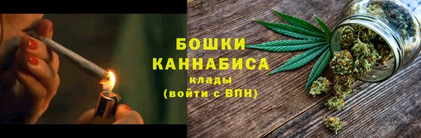 индика Арсеньев