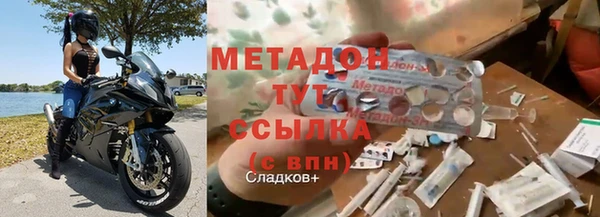индика Арсеньев