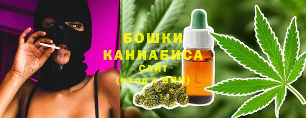 ПСИЛОЦИБИНОВЫЕ ГРИБЫ Аркадак