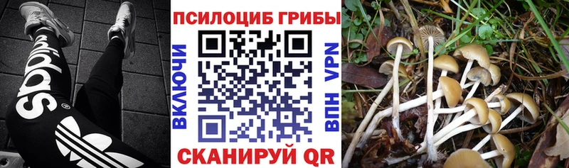 хочу   площадка состав  Псилоцибиновые грибы мухоморы  Очёр 